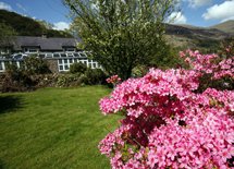 B&B and licensed bar, Snowdonia